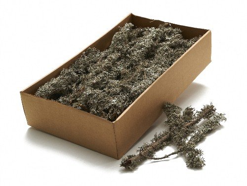 NaDeco Grau Moos am Zweig 750g Natural Grey Moss on Twig 750g Dekozweige