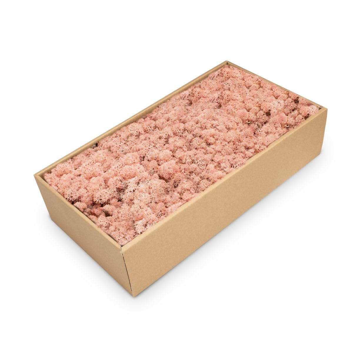 NaDeco Islandmoos Pink - Dekomoos für Bastelprojekte | Moos zum Basteln und Dekorieren | Rentier Moos | 500g Karton-Pack