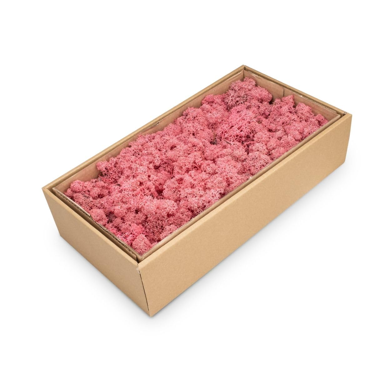 NaDeco Islandmoos Fuchsia - Deko-Moos für Bastler | Rentier-Moos | Dekomoos | Moos-Deko