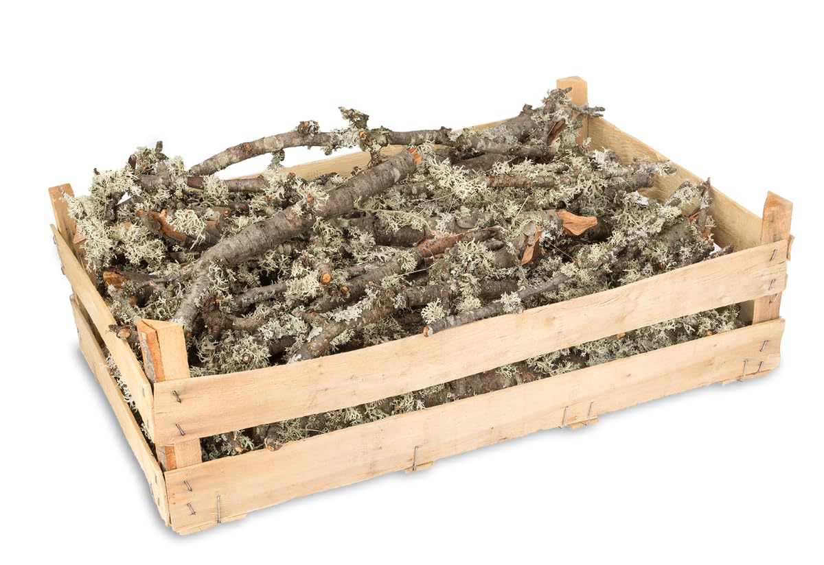 NaDeco Moos Zweige Natur | Dekozweige | Dekoration für Terrariums und Krippenbau