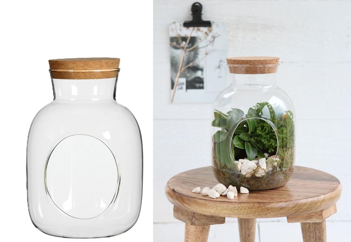 NaDeco Glass Sphere Dekovase Dekoglas | Flaschengarten | Pflanzenterrarium | 18cm Höhe Ø12cm Glaskugel | Glasvase | Deko